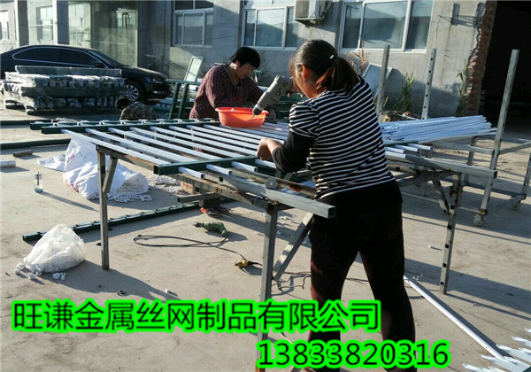 IMG_20160928_165145_副本.jpg