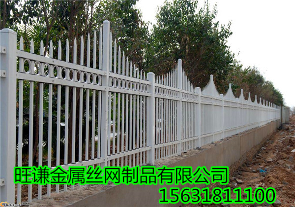 000-TtQEusFCqGzm_副本.jpg